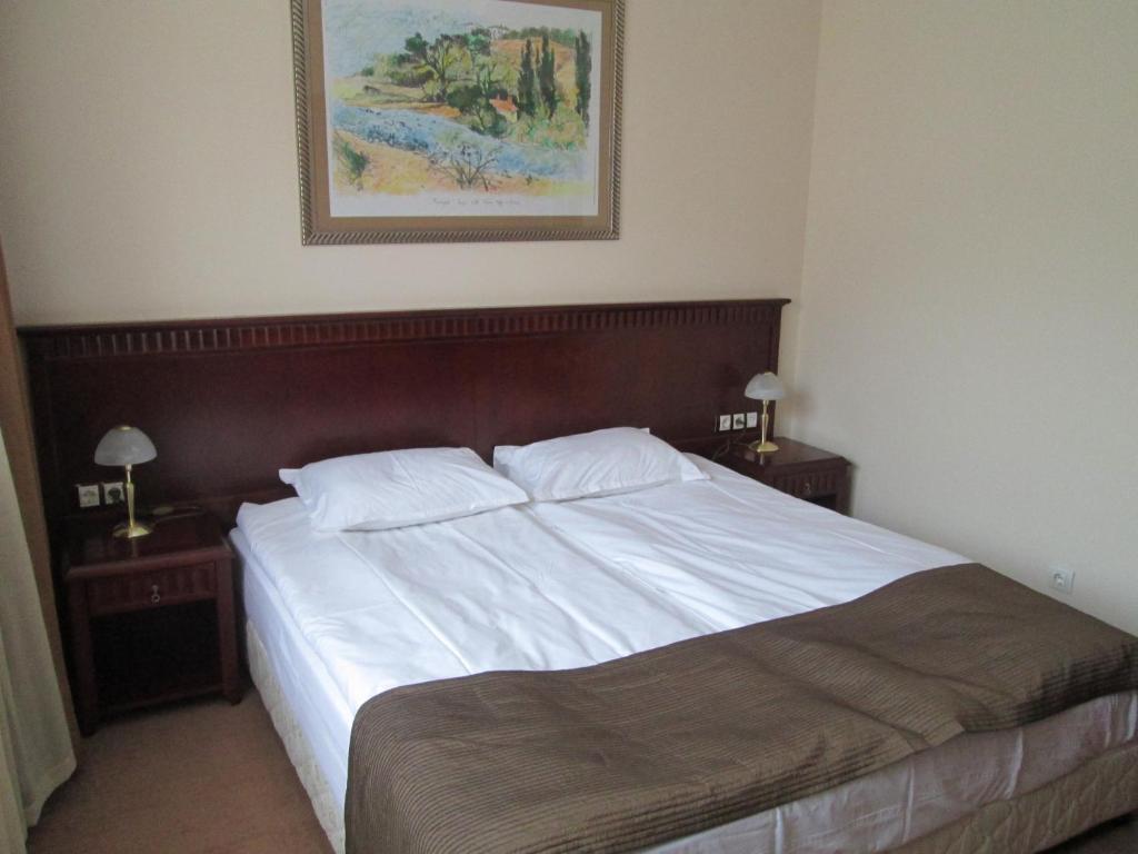 Downtown Alexander Services Apartments Bansko Værelse billede